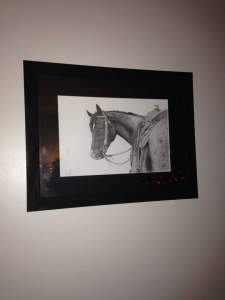 12369238_928602373886846_5920531488551389257_n