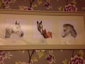 12743795_1673084242954555_2304025204087207366_n